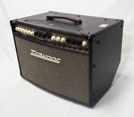 Store Special Product - Traynor - AM Standard 2-Channel Stereo Acoustic Guitar Amp - 150 Wat